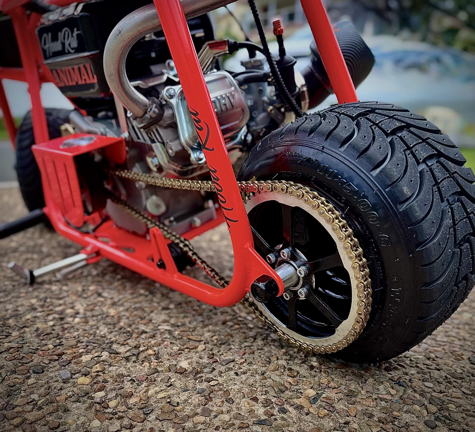 Hood Rat Boss · Hornet Red