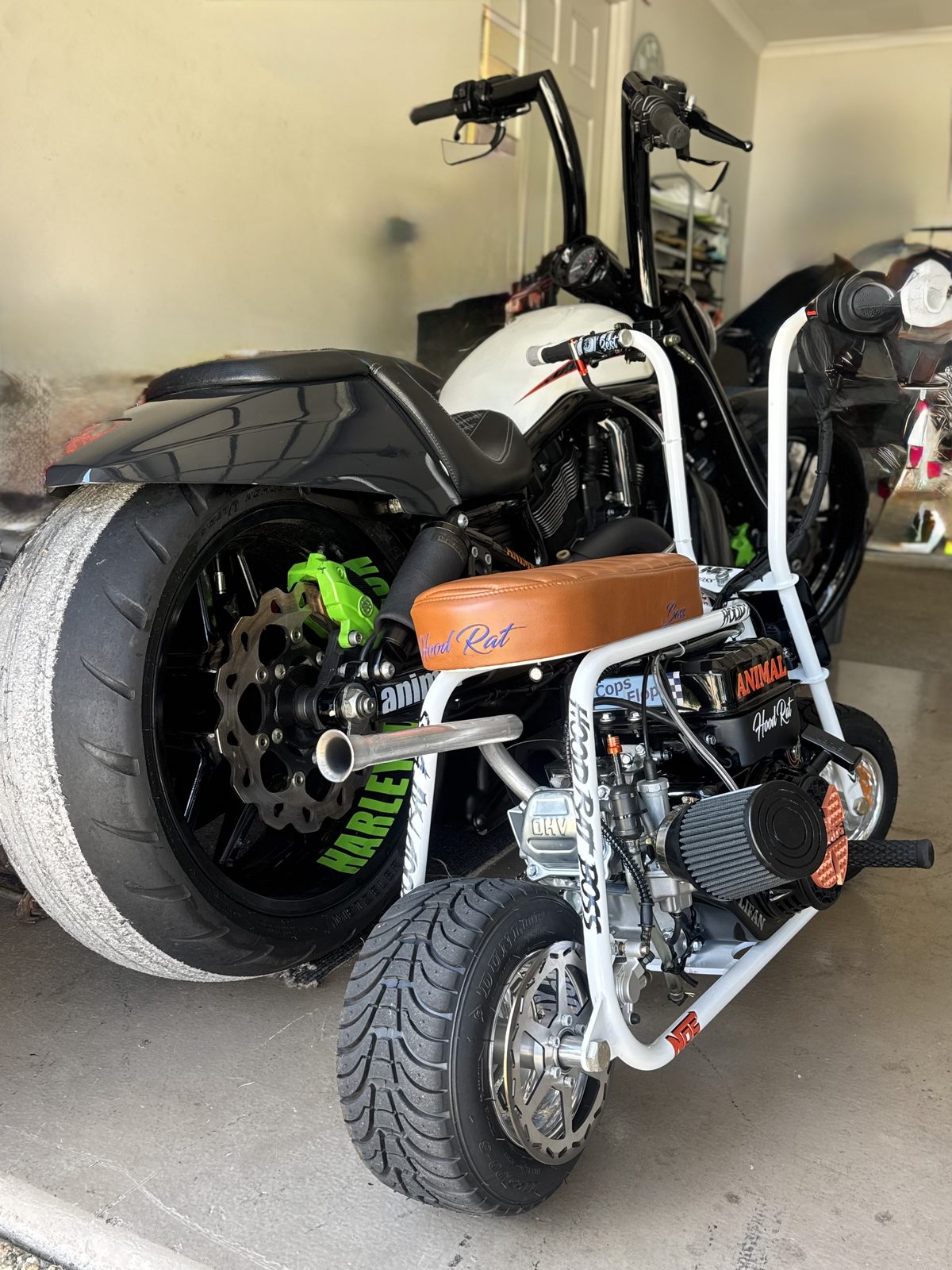 Hood Rat Boss beside Harley-Davidson