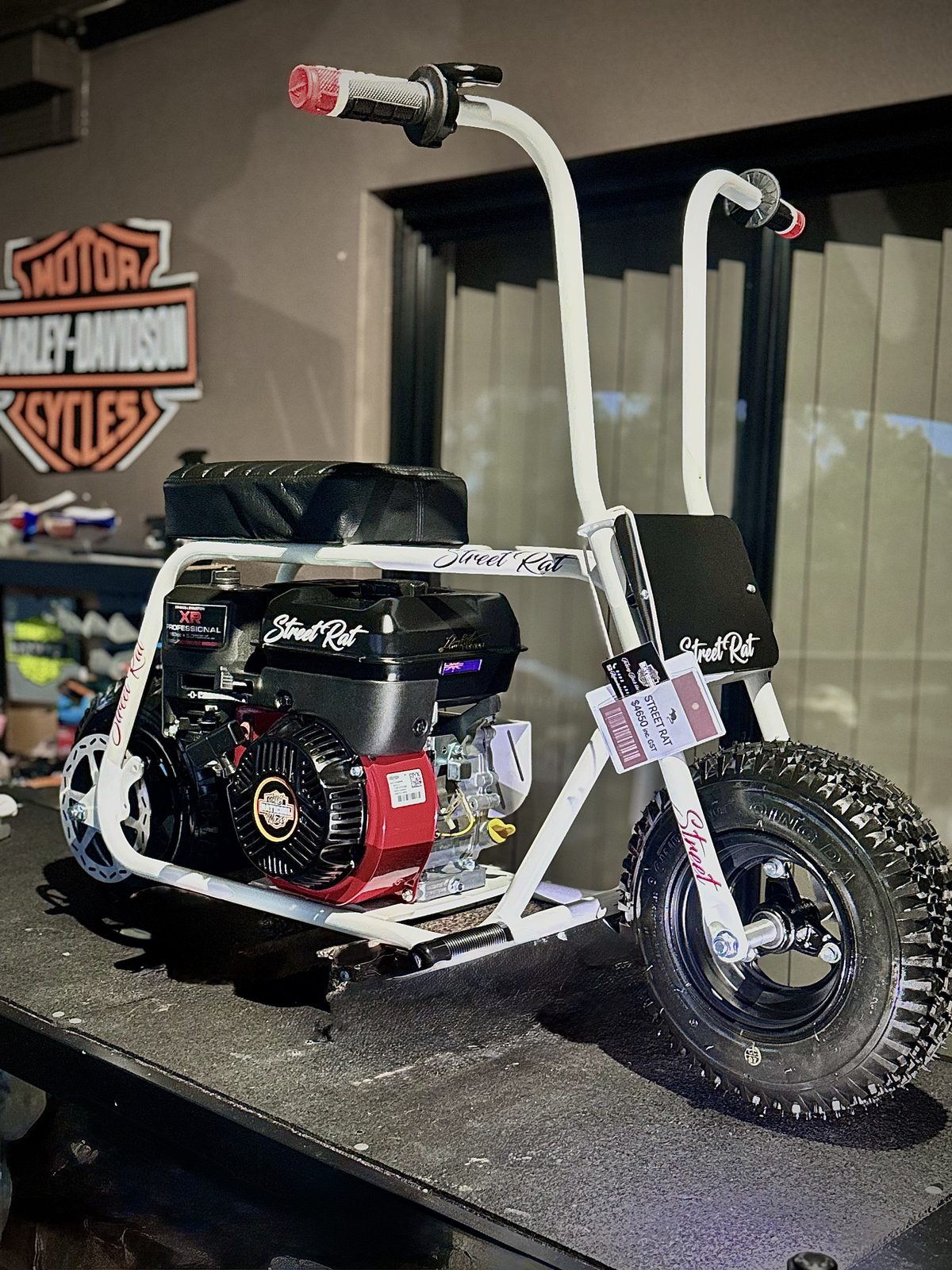 Street Rat at Harley-Davidson dealership