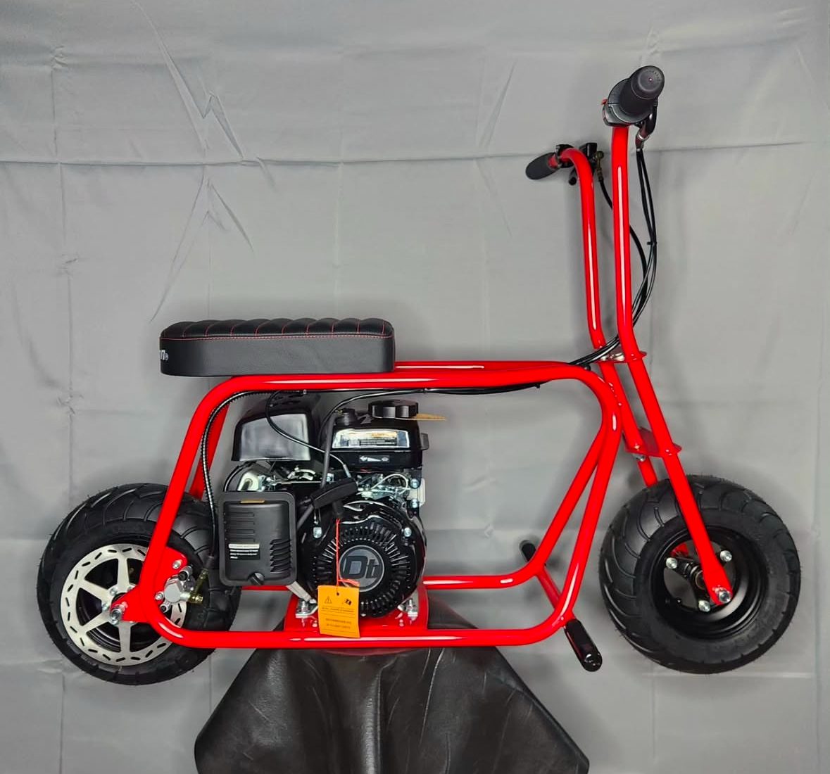 Street Rat in Raticool Red